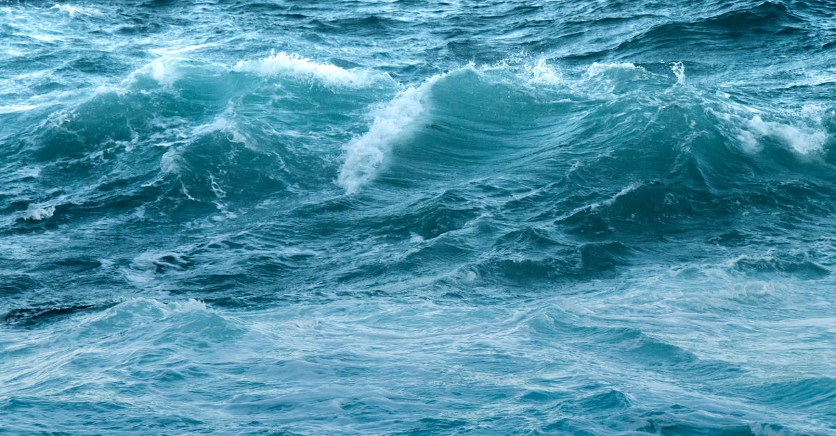 Exploring the Impact of Acupuncture on Stress and Wellbeing