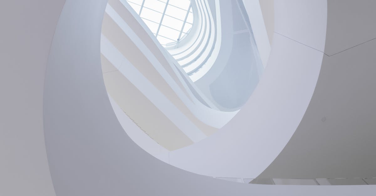 Exploring the Link Between Acupuncture and Immune Health