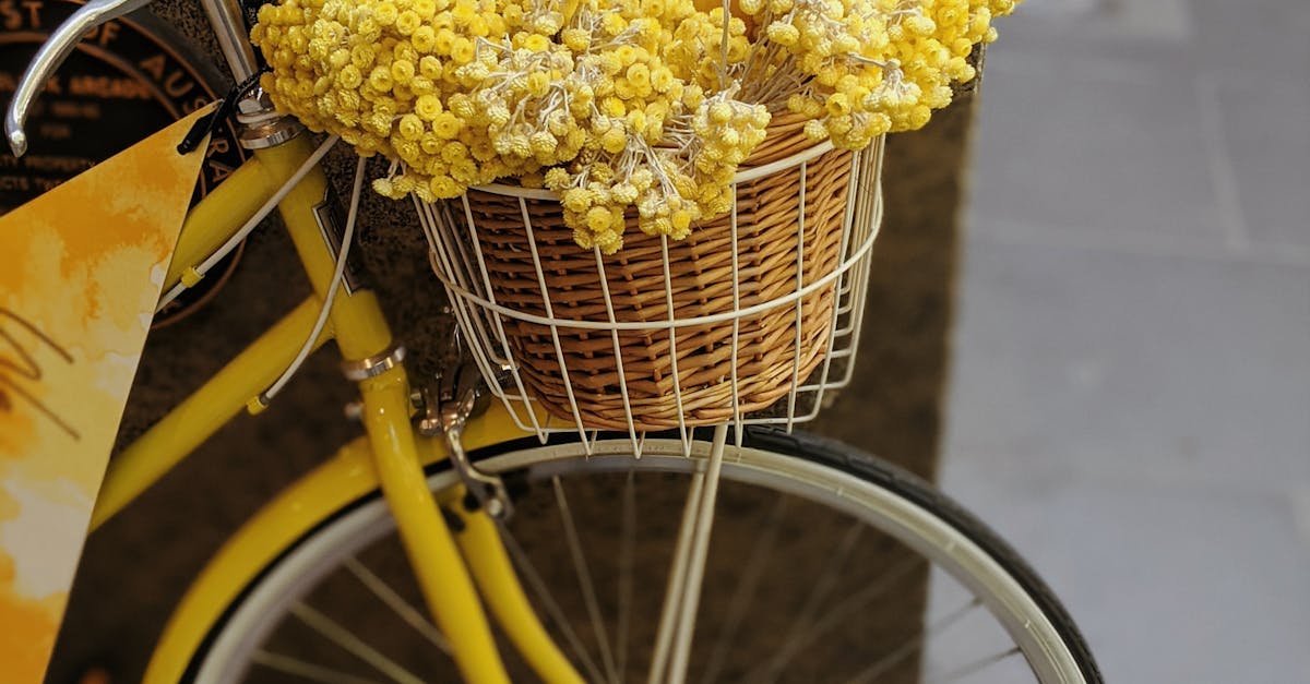 How Dry Needling Can Alleviate Chronic Muscle Pain