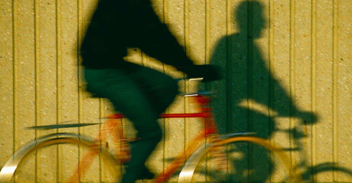 The Art of Diagnosis in Traditional Chinese Acupuncture